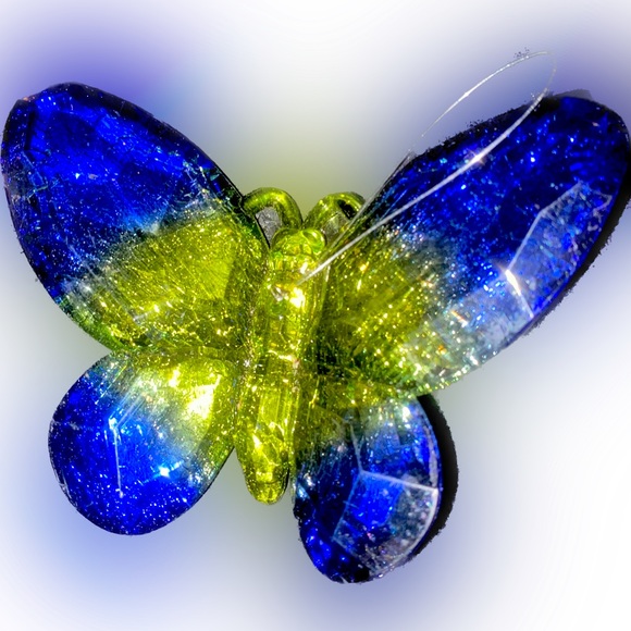Beautiful reflective butterfly - Picture 1 of 2